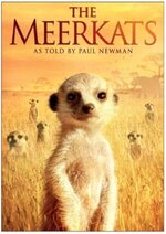 meerkats.jpg